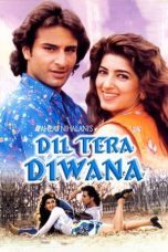 Movie poster: Dil Tera Diwana