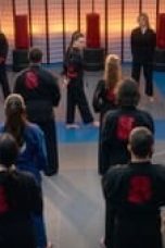 Movie poster: Cobra Kai Season 5 Episode 6