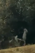 Movie poster: Kuruluş Osman Season 4 Episode 8