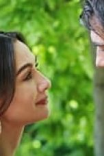 Movie poster: Price Of Passion Season 1 Episode 31