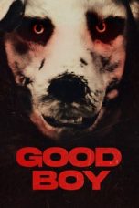 Movie poster: Good Boy 2024