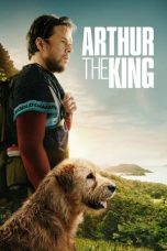 Movie poster: Arthur the King 2024
