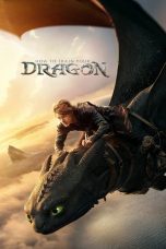 How to Train Your Dragon (2025) How to Train Your Dragon (2025)